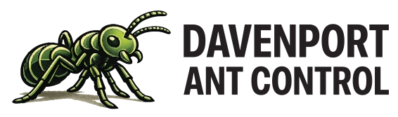 Davenport Ant Control