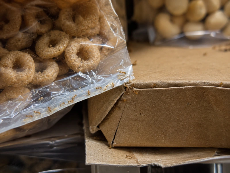 Foraging inside sealed pantry and food packaging