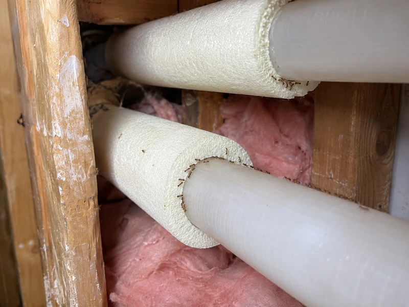 Trails along hot water lines between floors or rooms