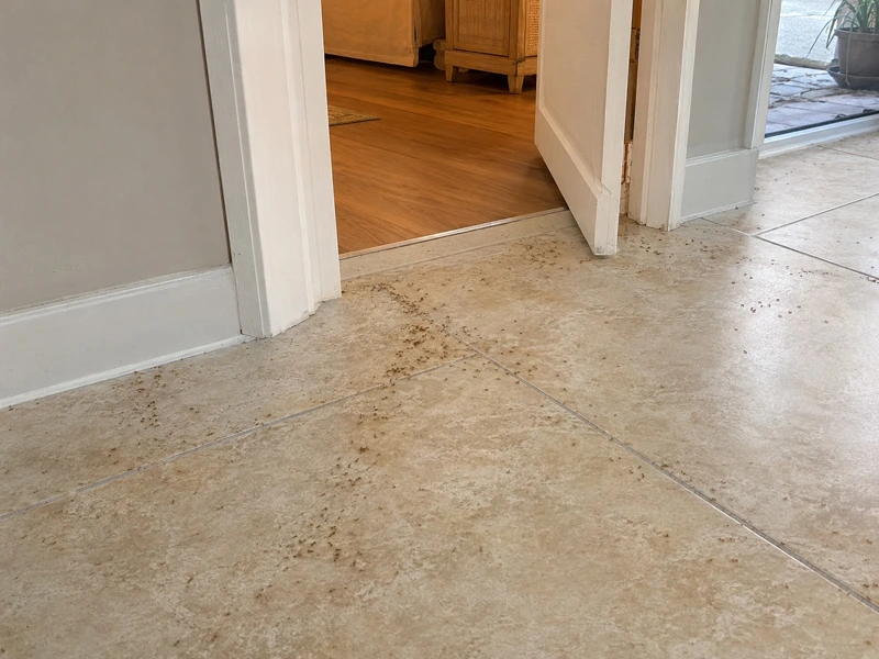 Trails spreading to new rooms after spraying